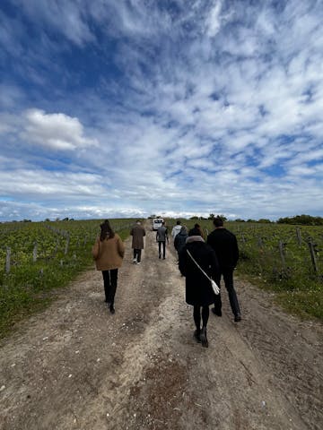 Château Haut-Bages Libéral
